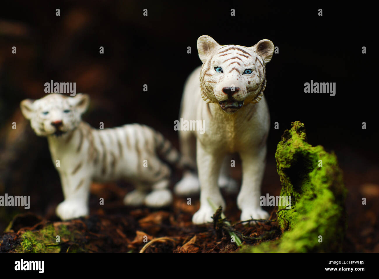 White plastic tigers toys in the wood. Stock Photo