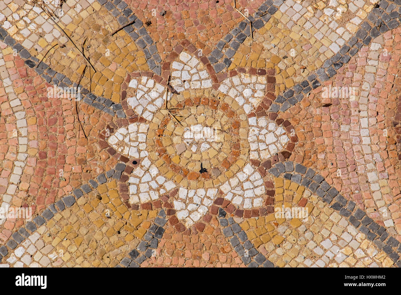 Fragment of antique mosaic at the Archaeological Park of Dion. Pieria, Macedonia, Greece Stock Photo