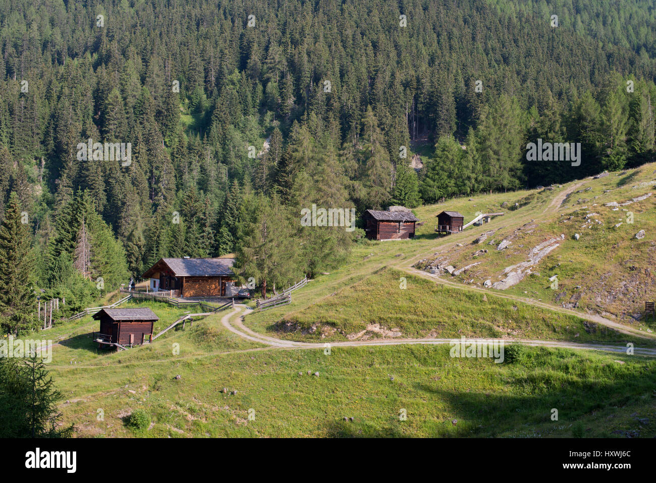 Hütten auf der Gipperalm und Wald im Hintergrund in Heiligenblut, Kärnten, Österreich Stock Photo