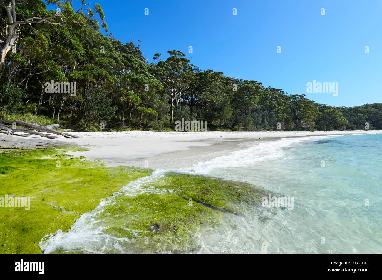 Southern end of Murray's Beach, a white sandy beach in Booderee ...