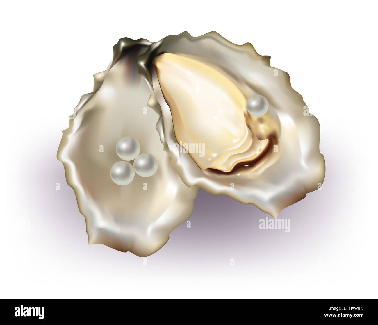 pearls with oyster shell on white background Stock Photo - Alamy