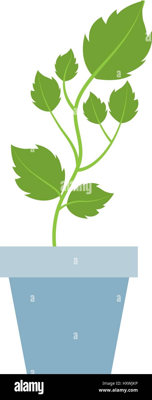 cute garden flower in pot vector illustration design Stock Vector Image ...
