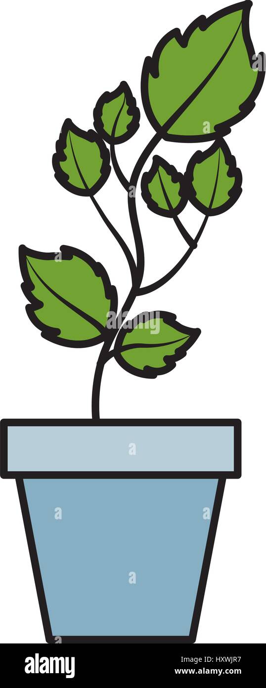 cute garden flower in pot vector illustration design Stock Vector Image ...