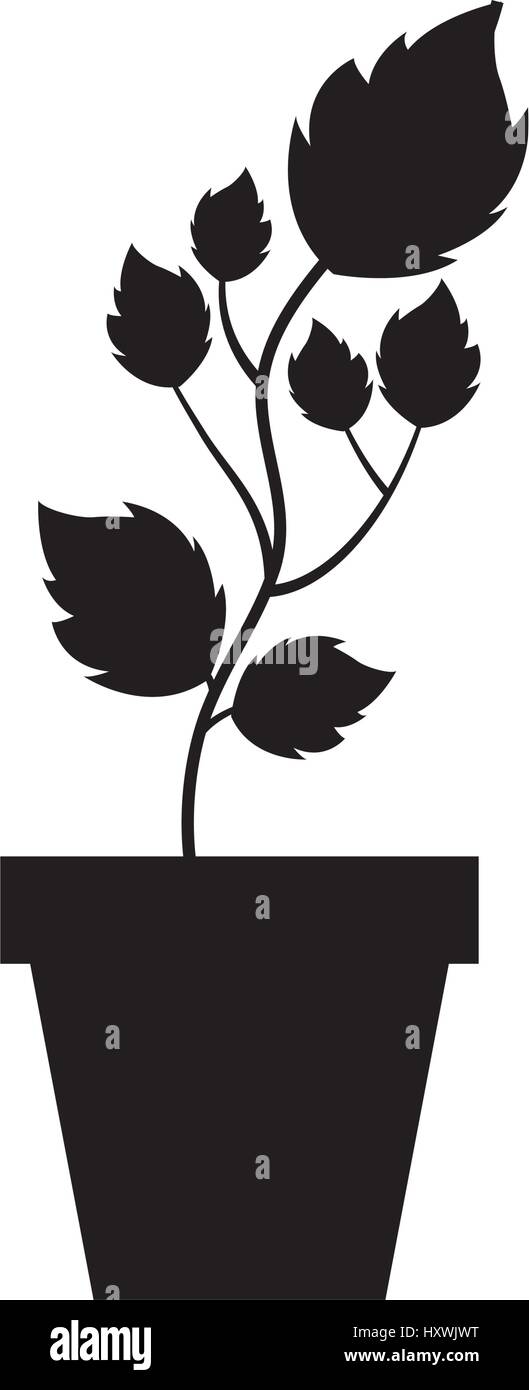 cute garden flower in pot vector illustration design Stock Vector Image ...