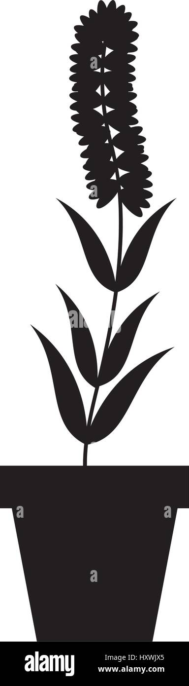 cute garden flower in pot vector illustration design Stock Vector Image ...