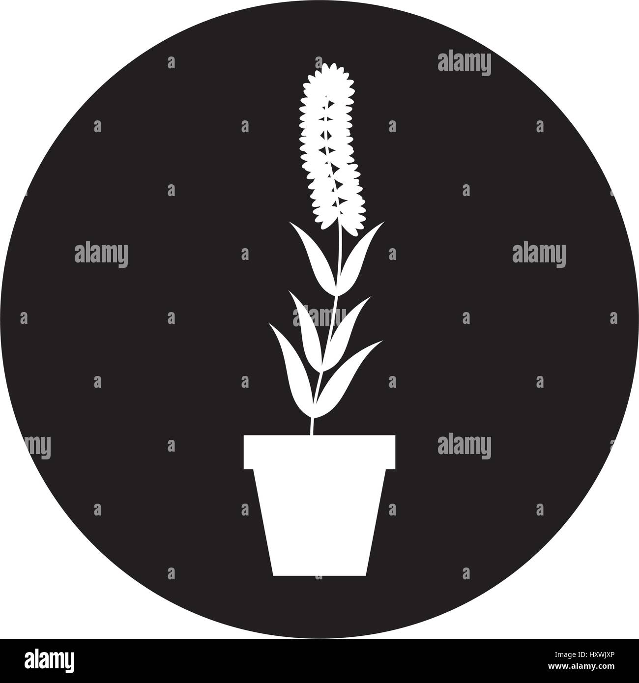 cute garden flower in pot vector illustration design Stock Vector Image ...