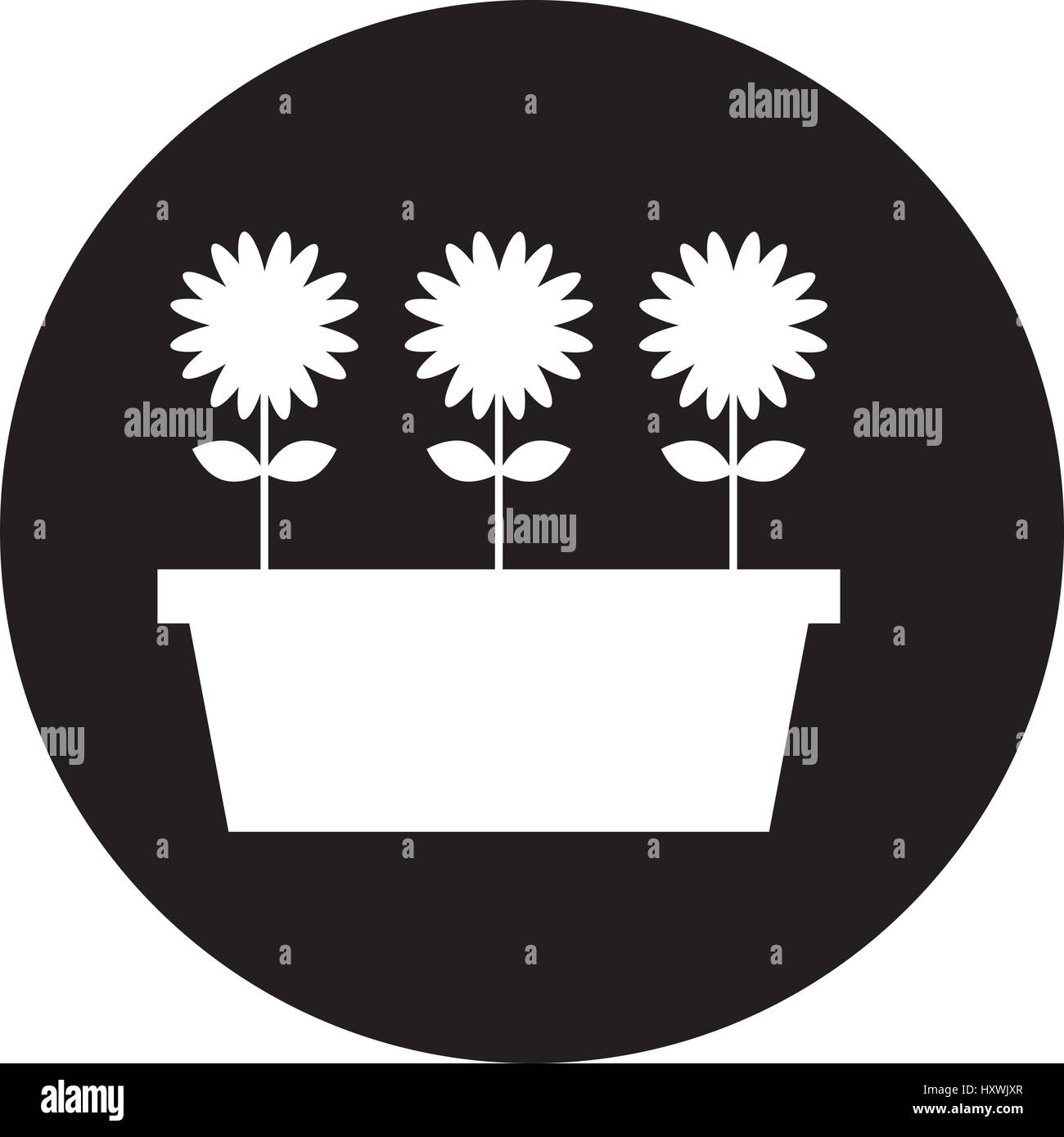 cute garden flower in pot vector illustration design Stock Vector Image ...