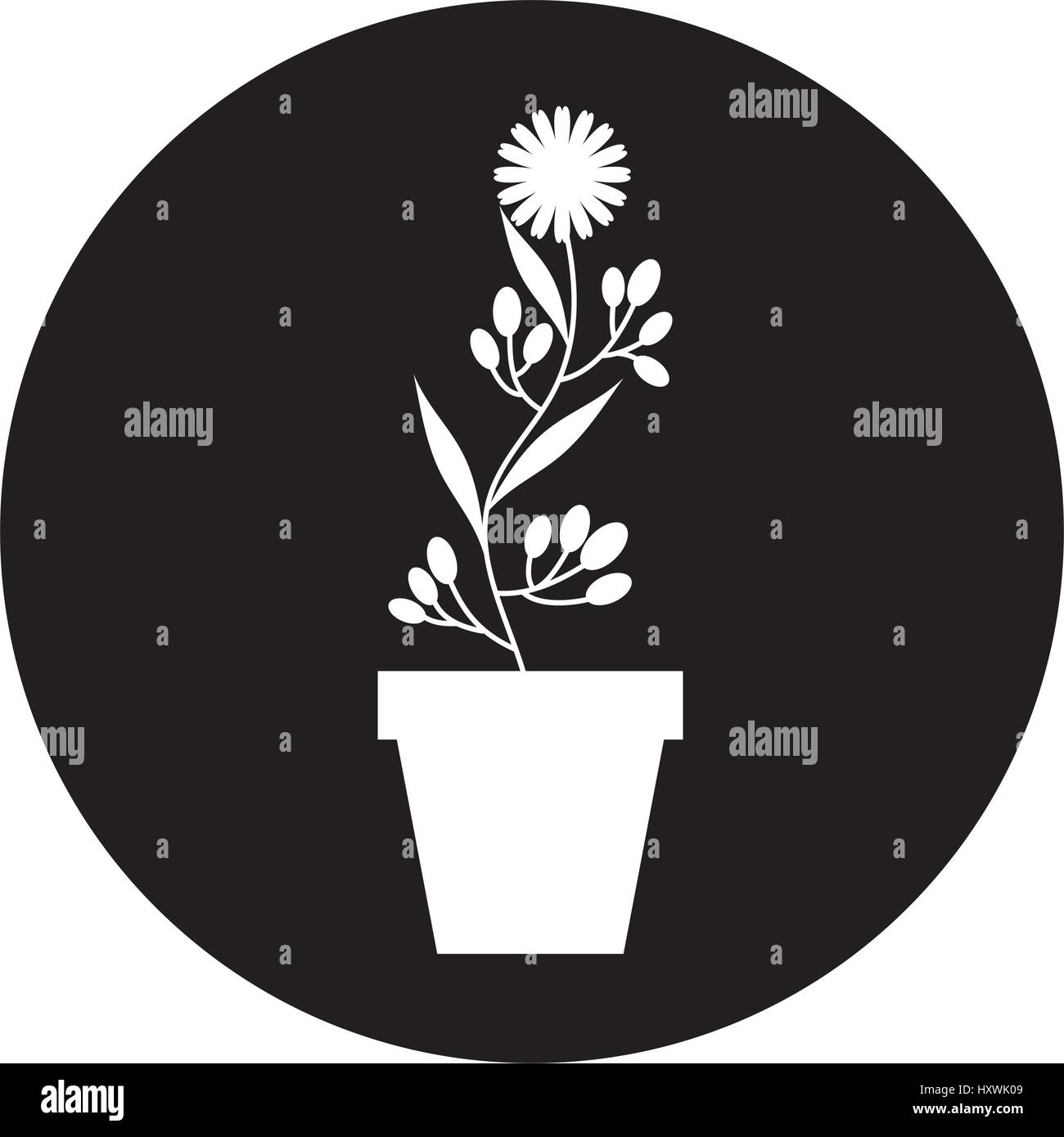 cute garden flower in pot vector illustration design Stock Vector Image ...