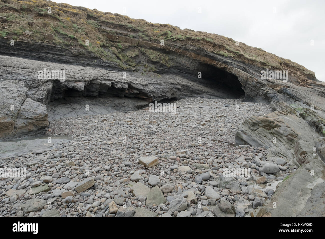 Geological fold with barnacle laden rocks in foreground at Broadhaven, Pembrokeshire, Wales Stock Photo