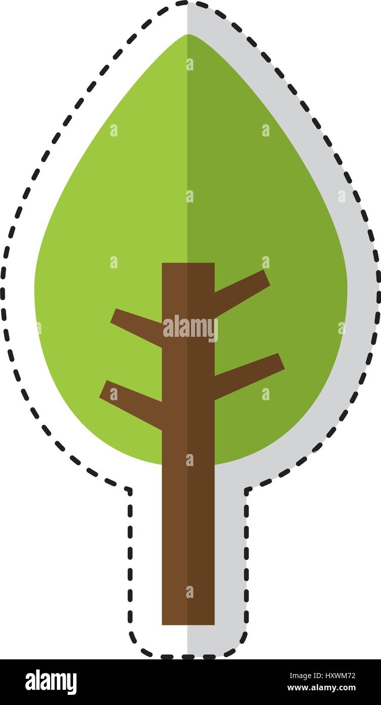 tree plant pine isolated icon vector illustration design Stock Vector ...
