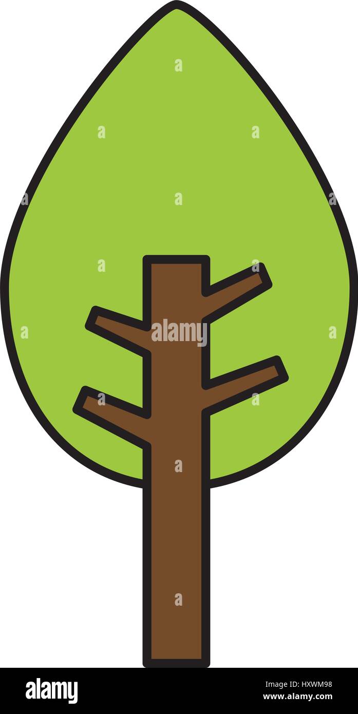 tree plant pine isolated icon vector illustration design Stock Vector ...