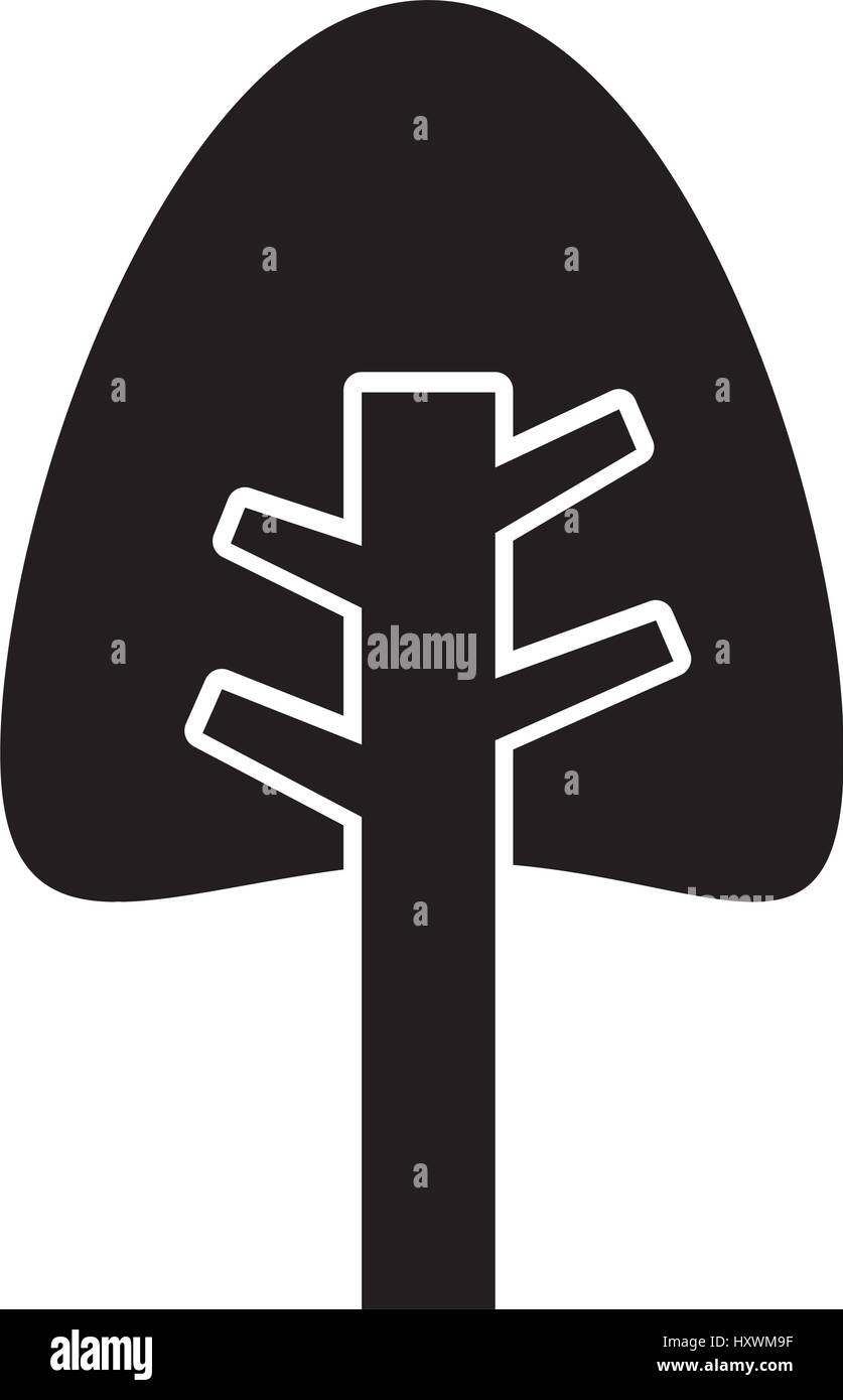 tree plant pine isolated icon vector illustration design Stock Vector ...