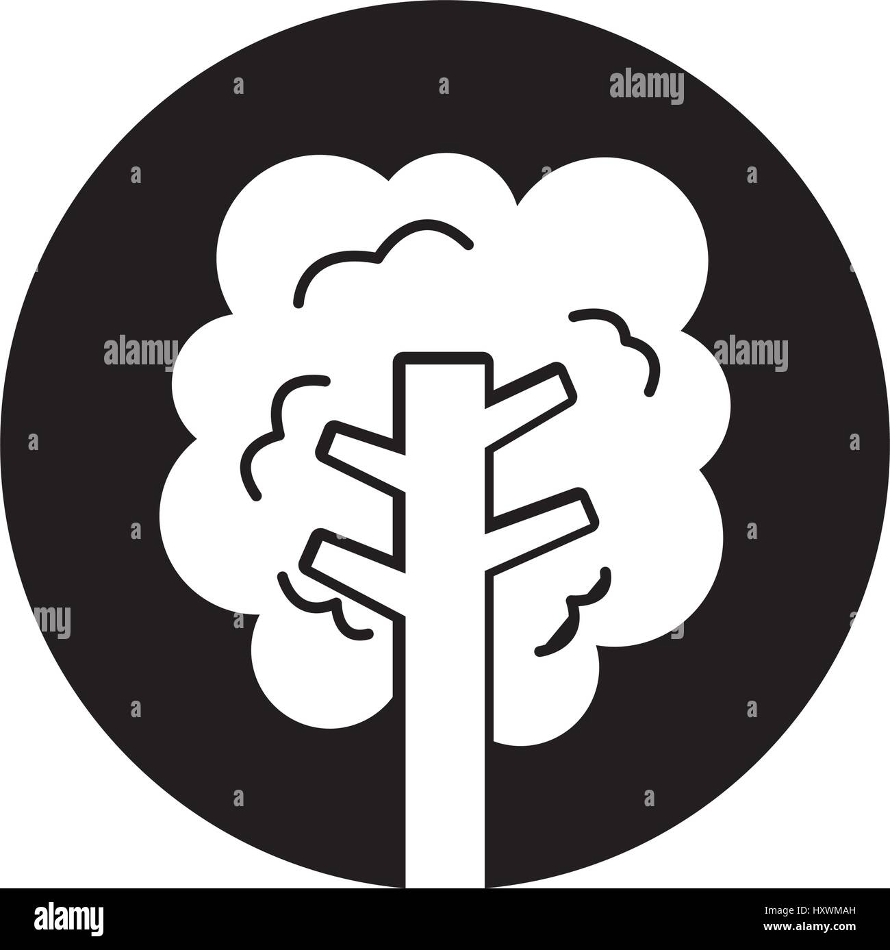 tree plant isolated icon vector illustration design Stock Vector Image ...