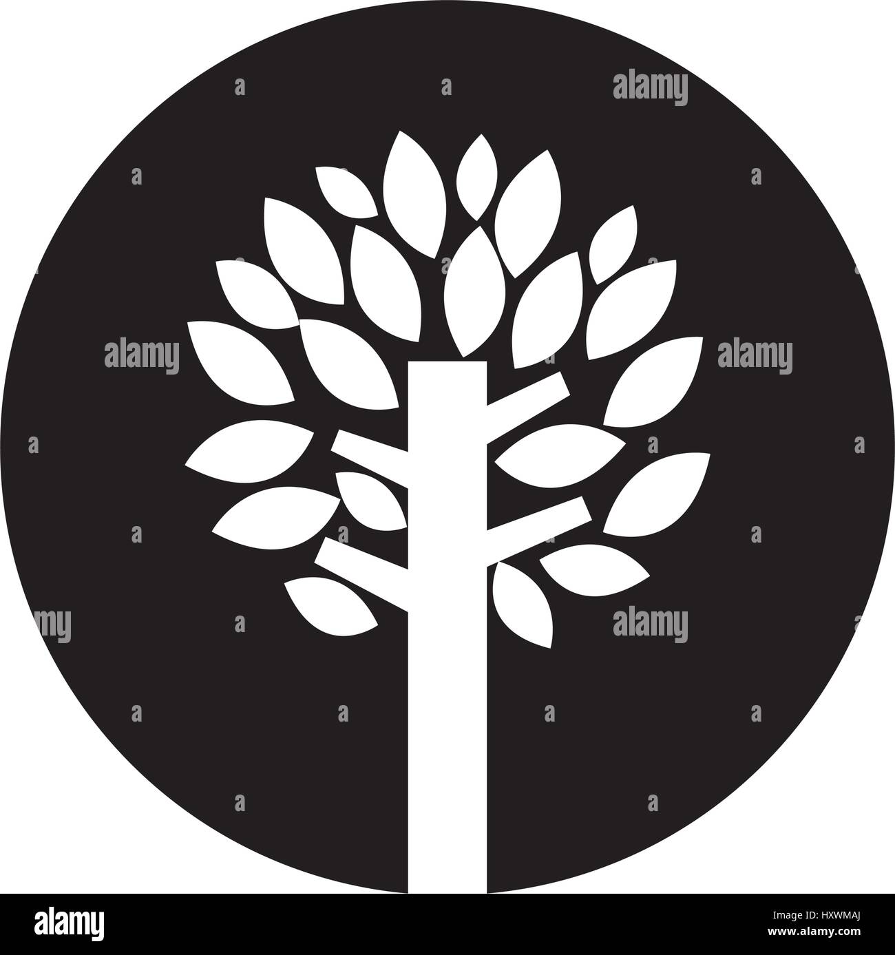 tree plant isolated icon vector illustration design Stock Vector Image ...
