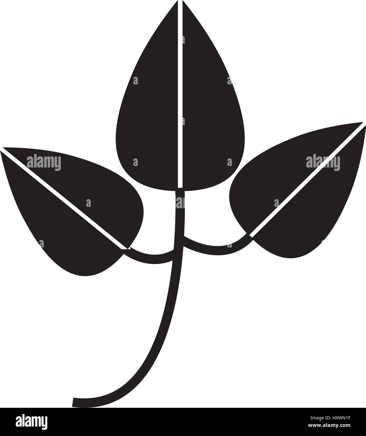 leafs plant isolated icon vector illustration design Stock Vector Image ...