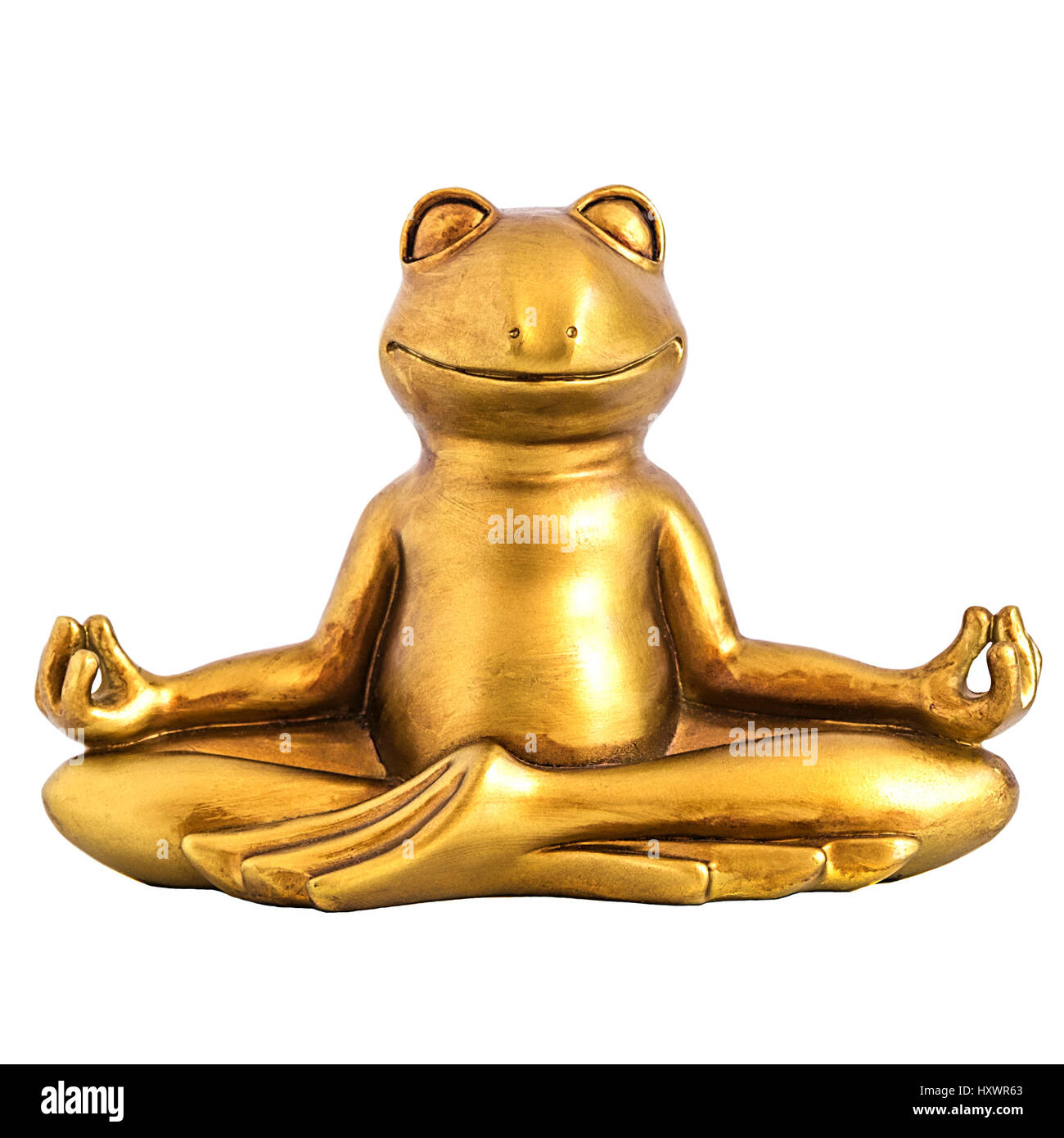 Smiling gold yoga frog meditating in lotus pose. Body, mind and