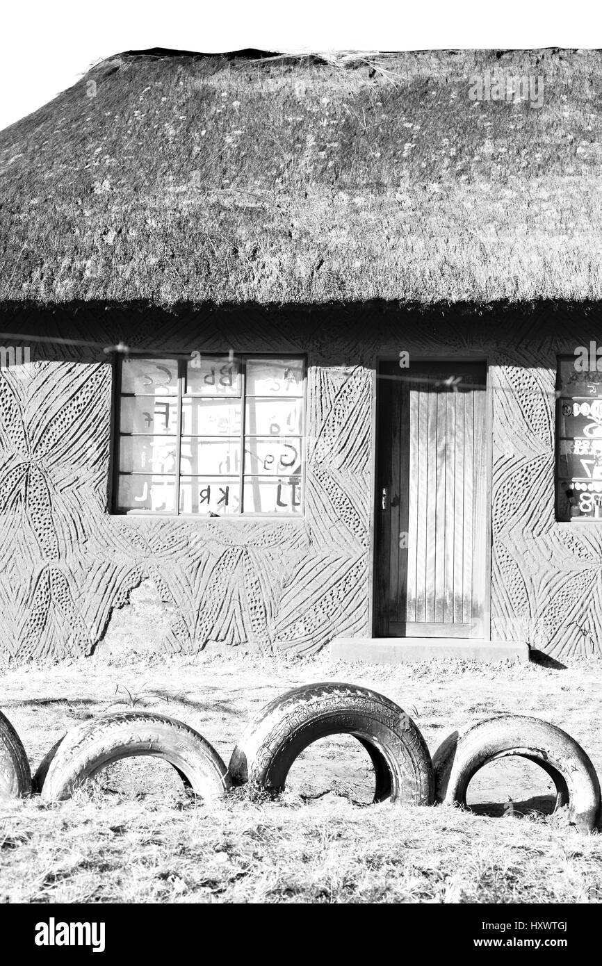 African village dog Black and White Stock Photos & Images - Alamy