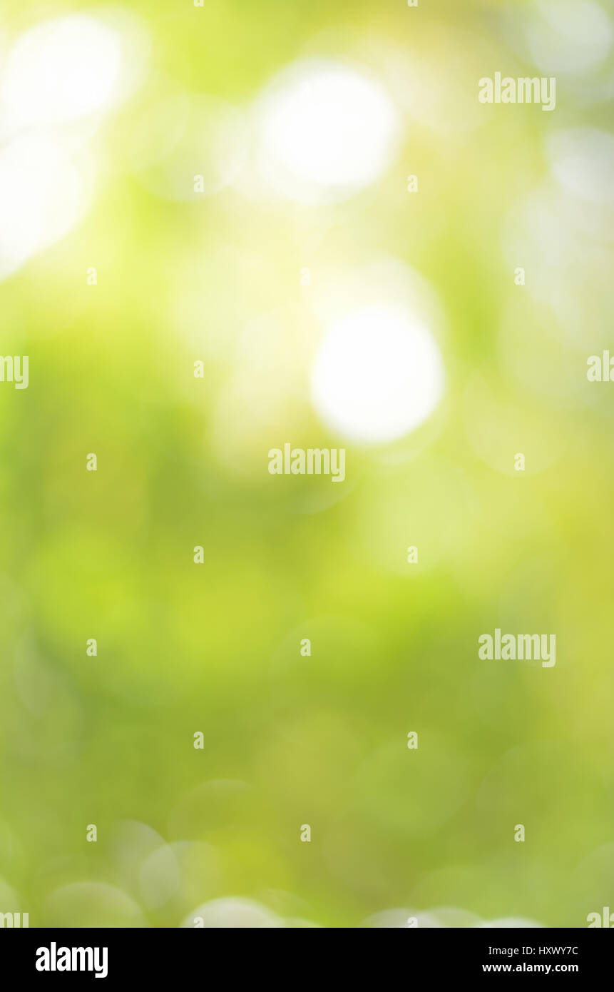 Blur bokeh natural green abstract background Stock Photo - Alamy