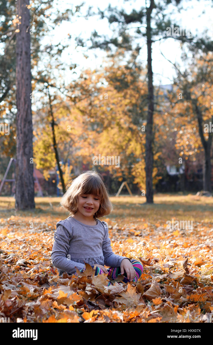 beautiful little girl sitting on autumn leaves Stock Photo - Alamy