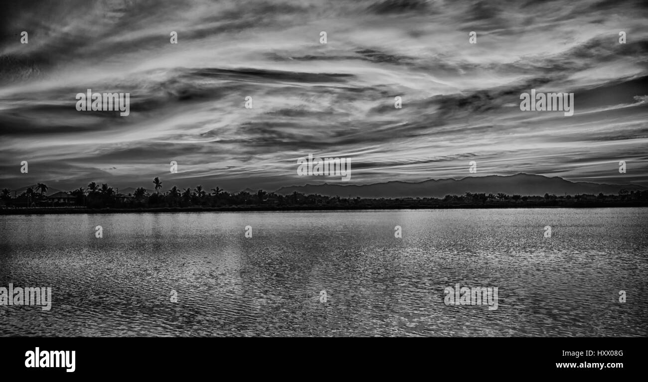 Bush Sunrise With Silhouette Black and White Stock Photos & Images - Alamy