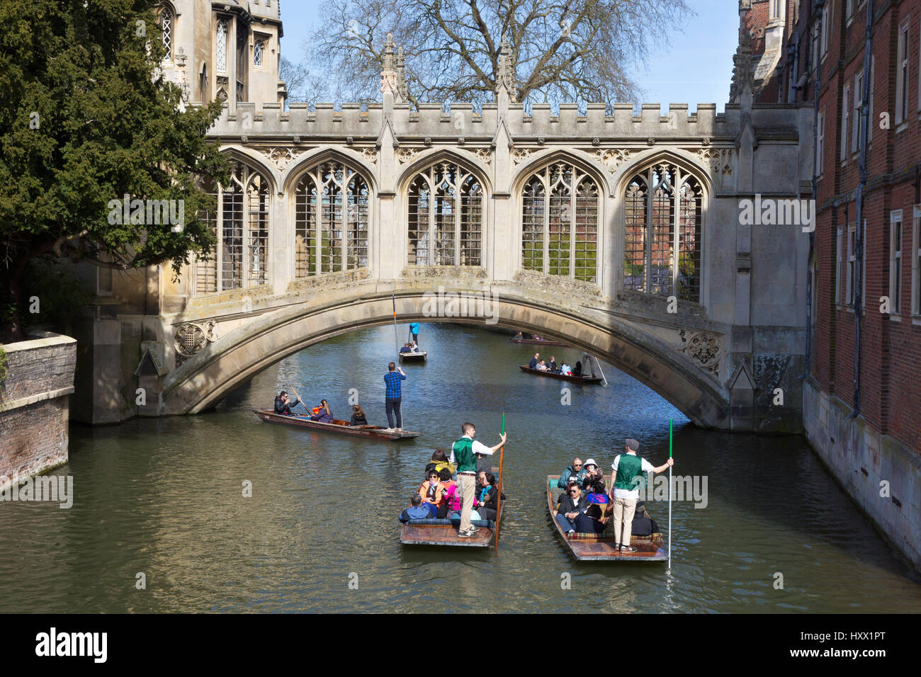 Cambridge Punting on the River Cam at Bridge of Sighs, St Johns College Cambridge University, Cambridge UK Stock Photo