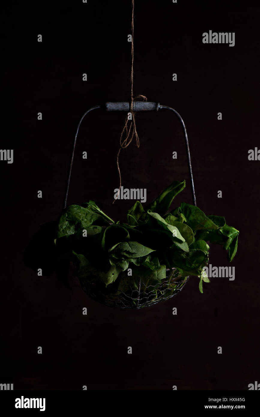 Spinach hanging in a basket Stock Photo Alamy