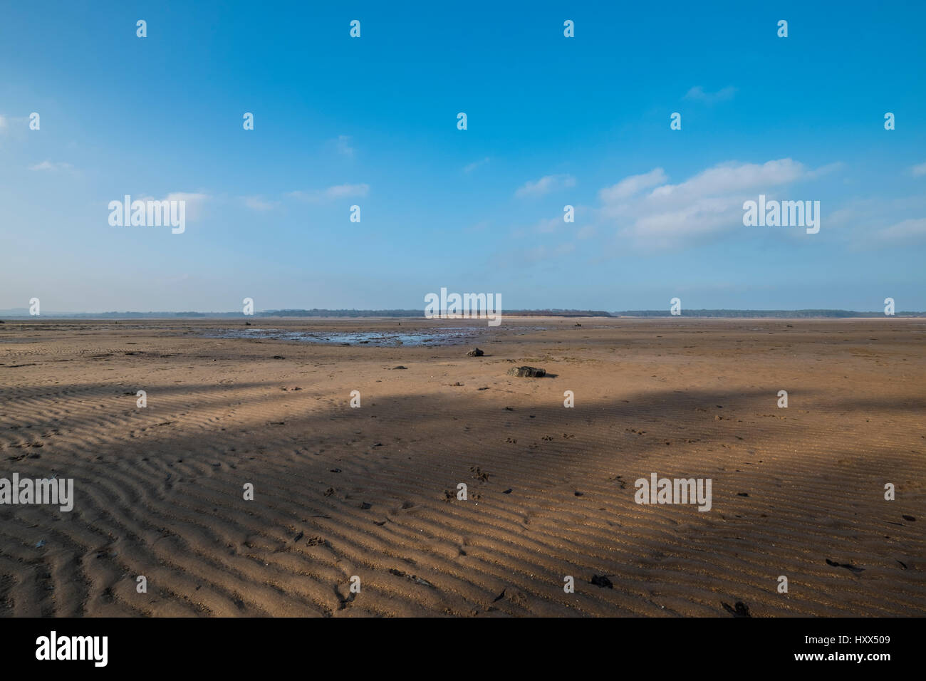 Scottish beach scene at Belhaven Bay in winter at low tide with patterns and textures of rippled sand and blue sky Stock Photo