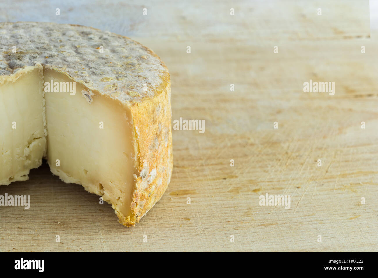 bloomy rind cheese and the penicillium camemberti... Genus penicillium hi-res stock photography and images - Alamy