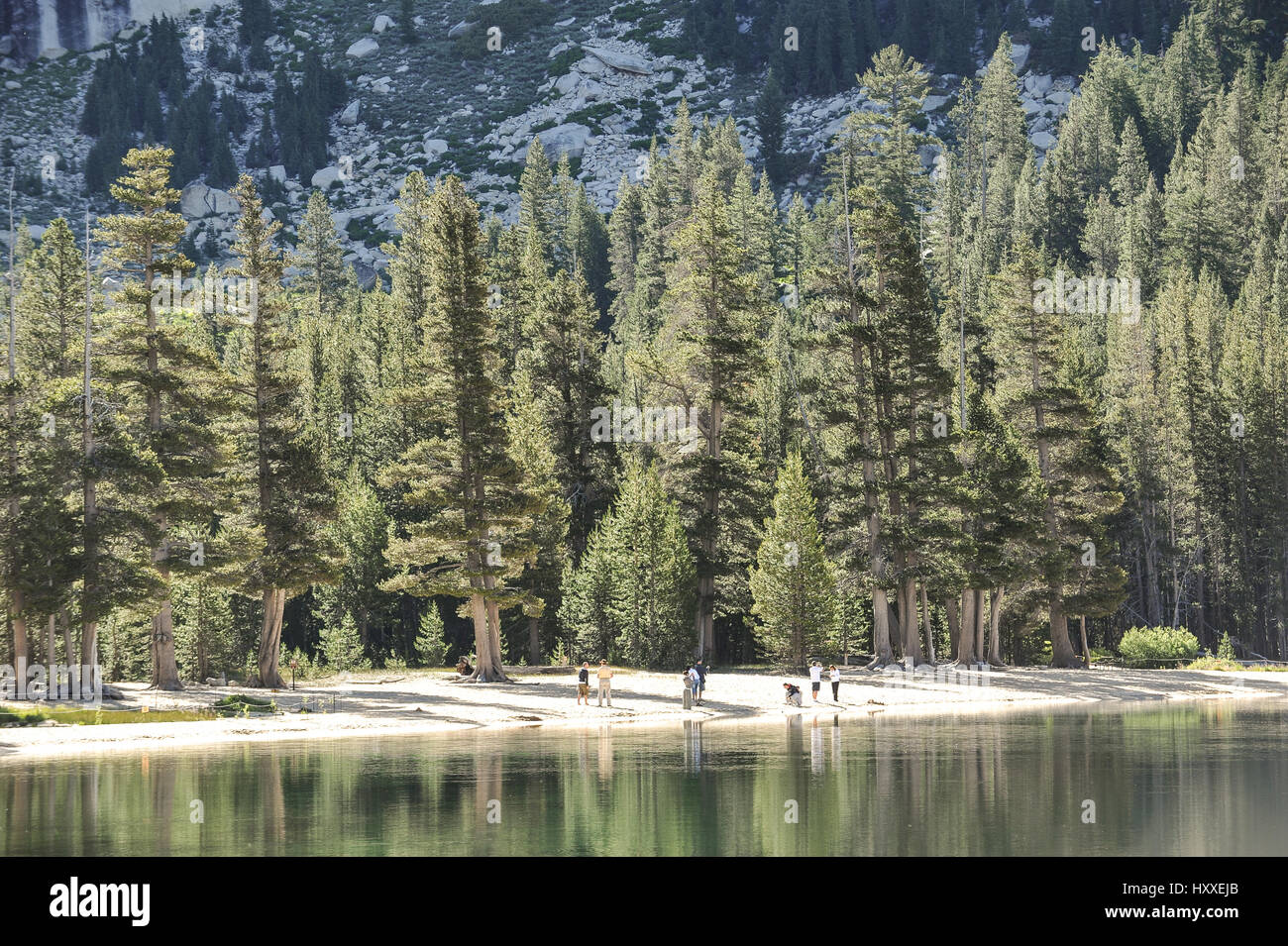 Yosemite park, California, United States Stock Photo