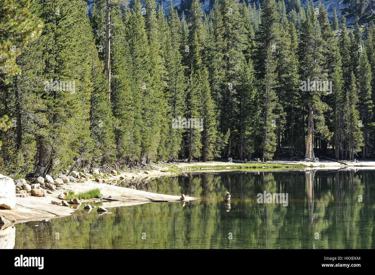 Yosemite park, California, United States Stock Photo