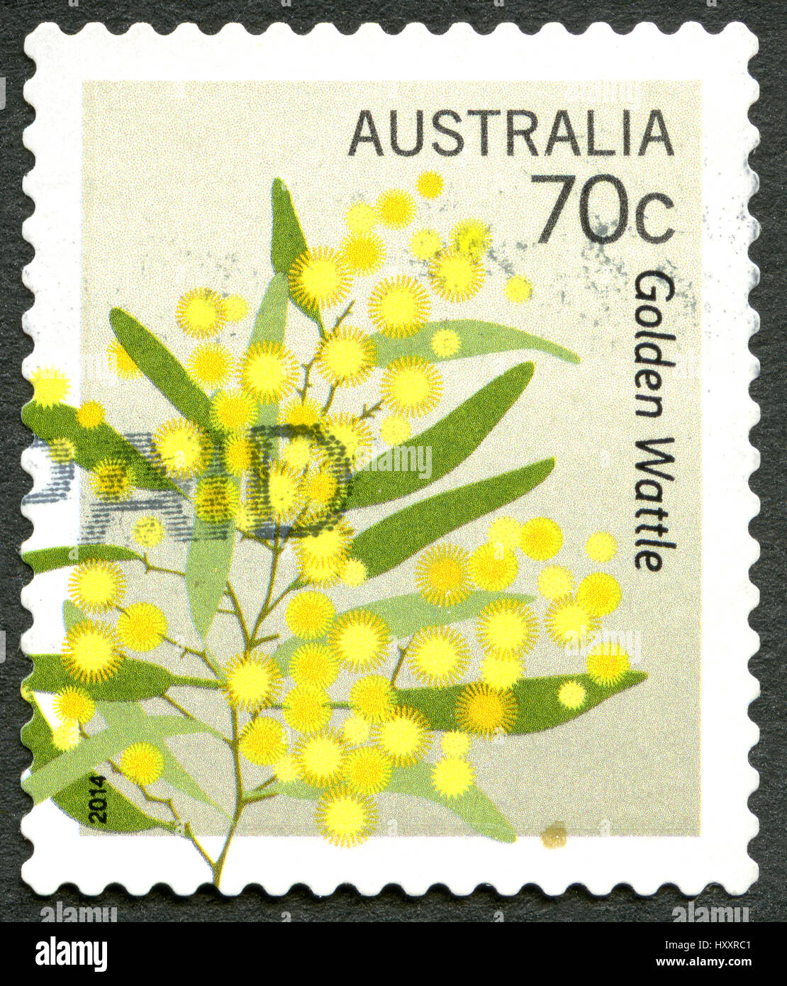 AUSTRALIA - CIRCA 2014: A used postage stamp from Australia, depicting an illustration of the flowering plants from the Golden Wattle tree, circa 2014 Stock Photo