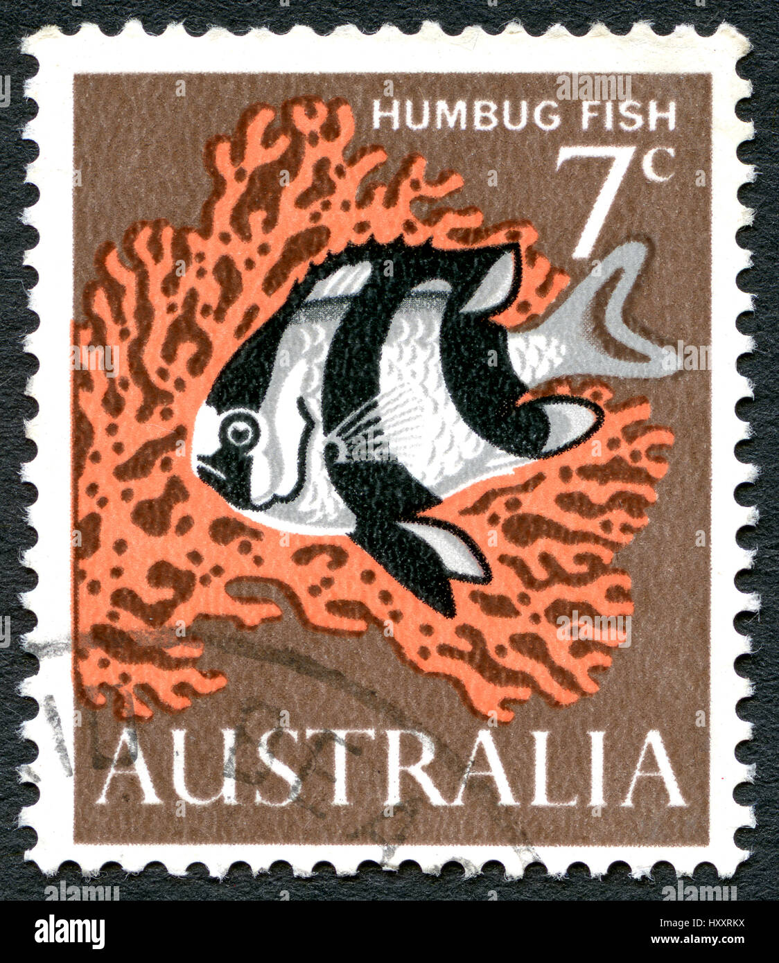 AUSTRALIA - CIRCA 1966: A used postage stamp from Australia, depicting an illustration of a Humbug Fish, circa 1966. Stock Photo