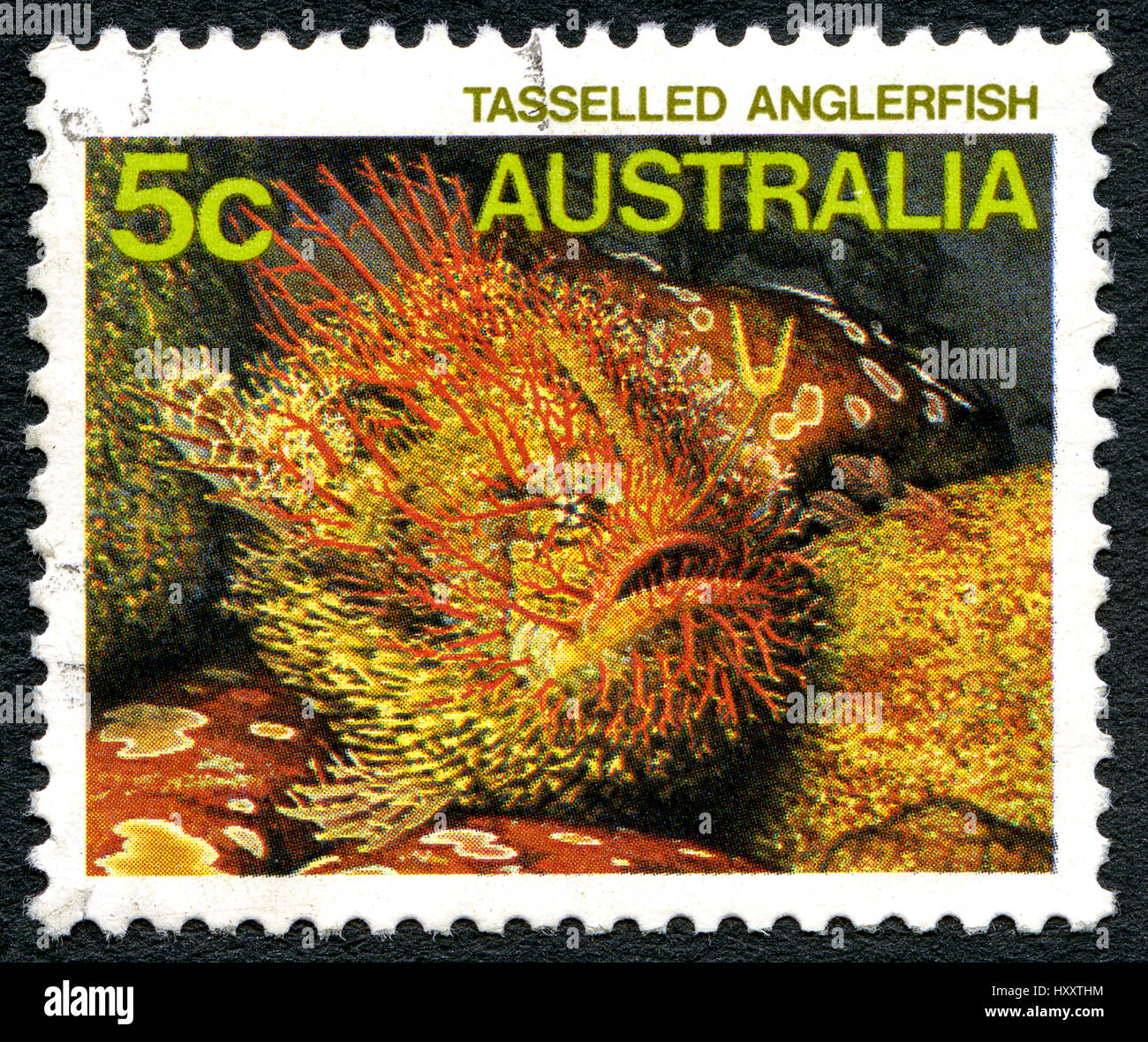 AUSTRALIA - CIRCA 1985: A used postage stamp from Australia, depicting an image of a Tasselled Anglerfish, circa 1985. Stock Photo