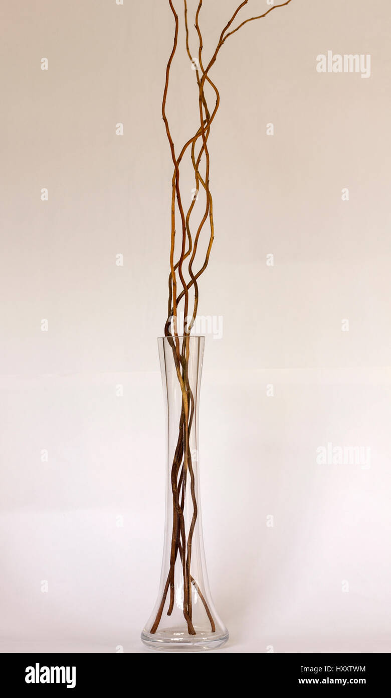 Brown intertwined sticks hi-res stock photography and images - Alamy