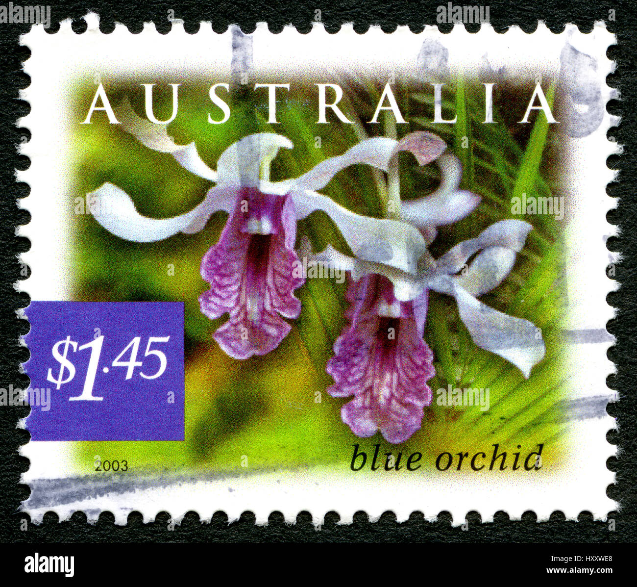AUSTRALIA - CIRCA 2003: A used postage stamp from Australia, depicting an image of a Blue Orchid, circa 2003. Stock Photo