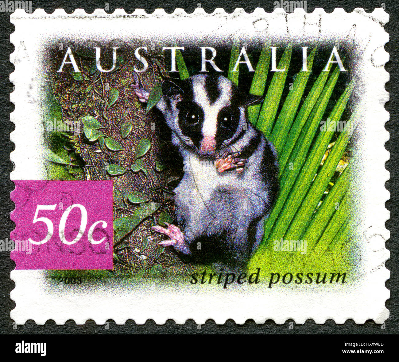 AUSTRALIA - CIRCA 2003: A used postage stamp from Asutralia, depicting ...