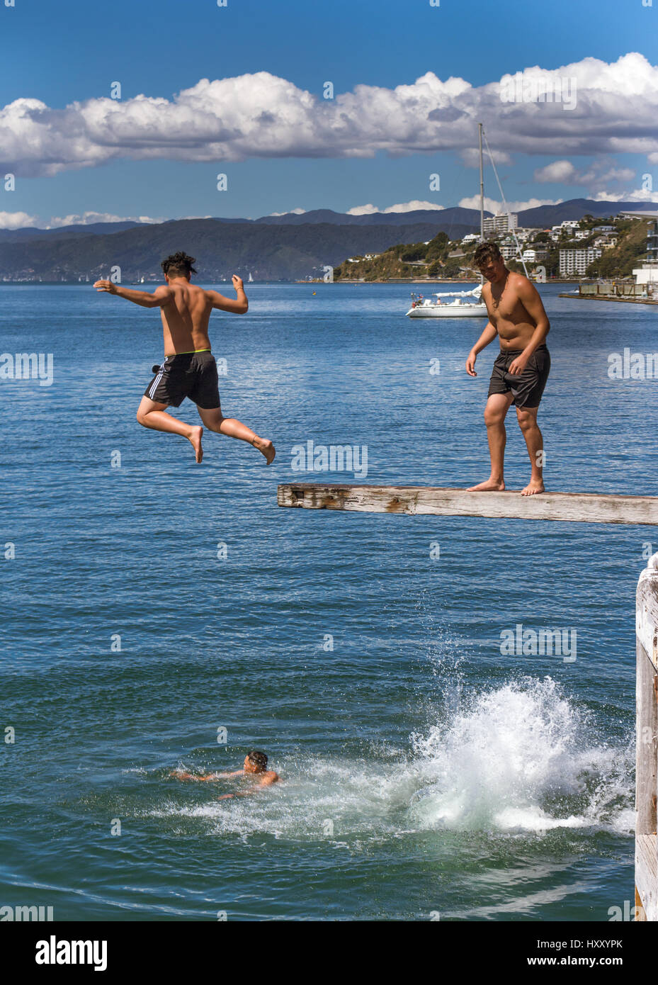 Wellington, New Zealand - February 11, 2017: Wellington waterfront with teenagers jumping off a diving board near Frank Kitts Park and lagoon bridge. Stock Photo