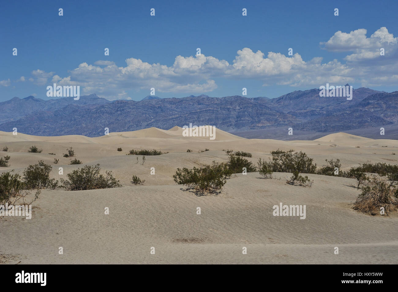 Ecosistema secco hi res stock photography - Death Valley United States HXY5WW 
