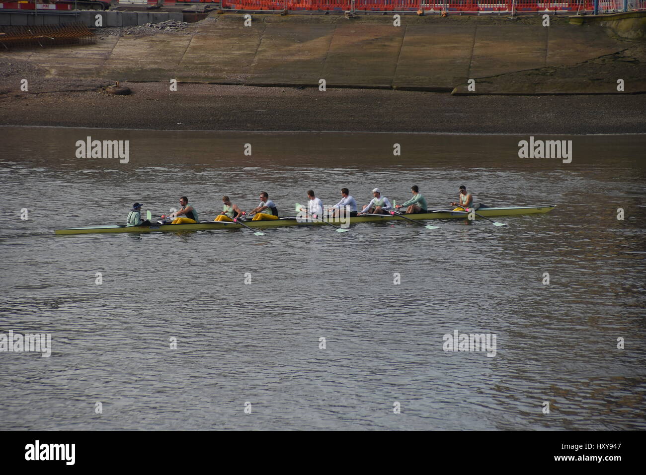 Cambridge university rowing club hires stock photography and images