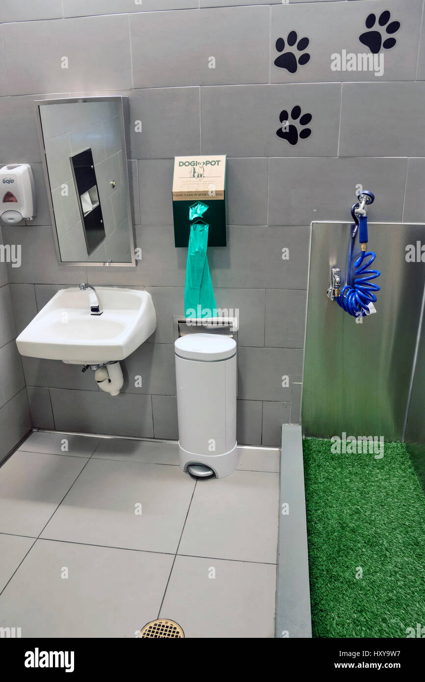 pet relief area Stock Photo Alamy