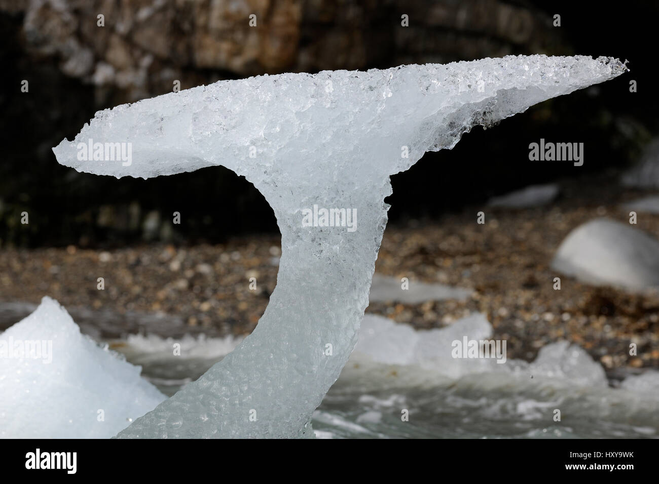 Abstract ice formation, like whale's tail, in coastal waters, Svalbard, Norway July 2011 Stock Photo