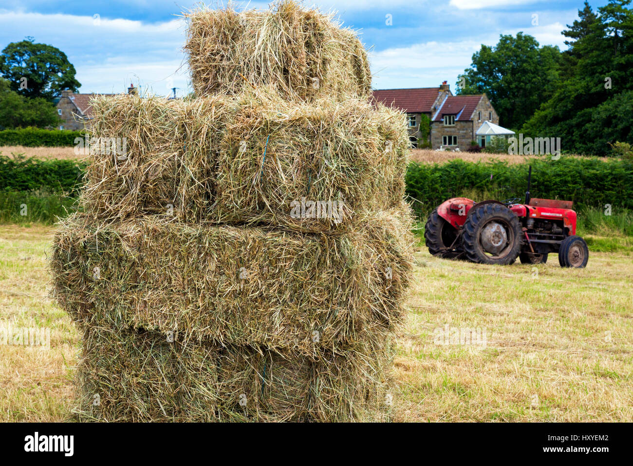 Tractor and straw bales, North York Moors, Yorkshire, England, UK Stock