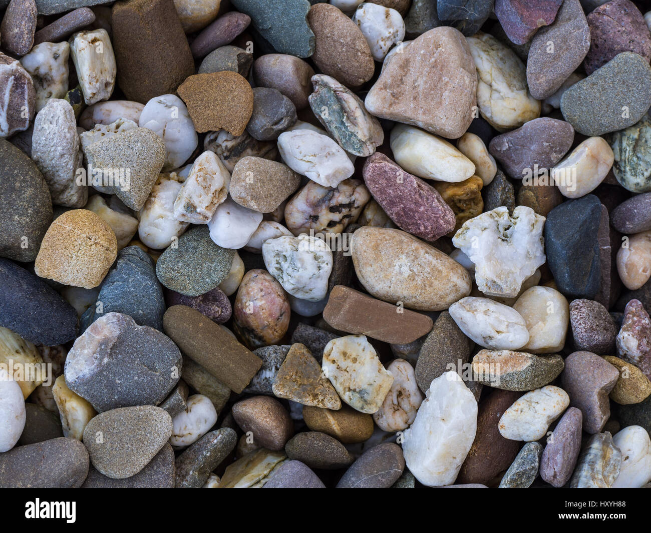 gravel close up with colorful stones in the shadow Stock Photo - Alamy