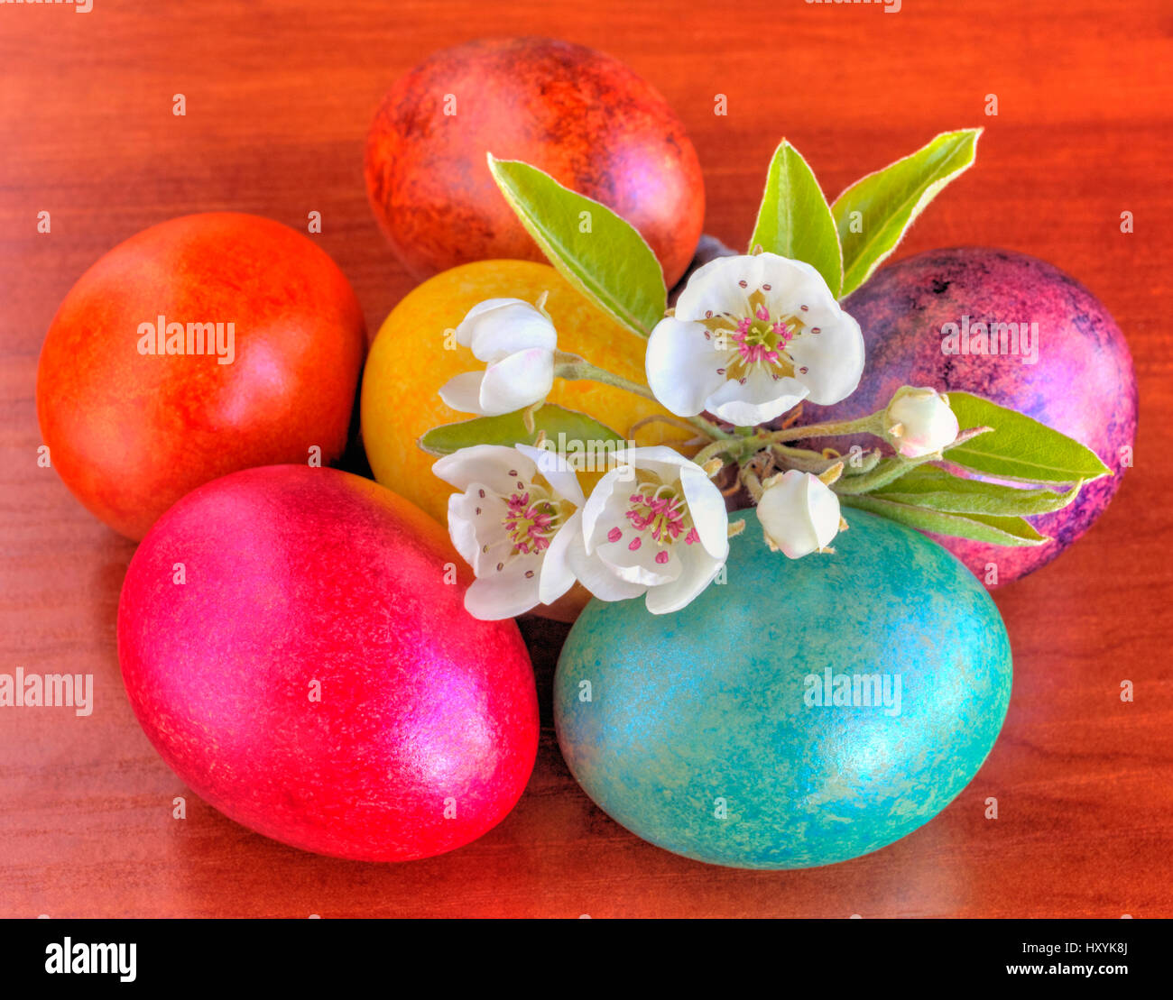 Colorful painted Easter eggs and fresh Spring flowers closeup Stock ...