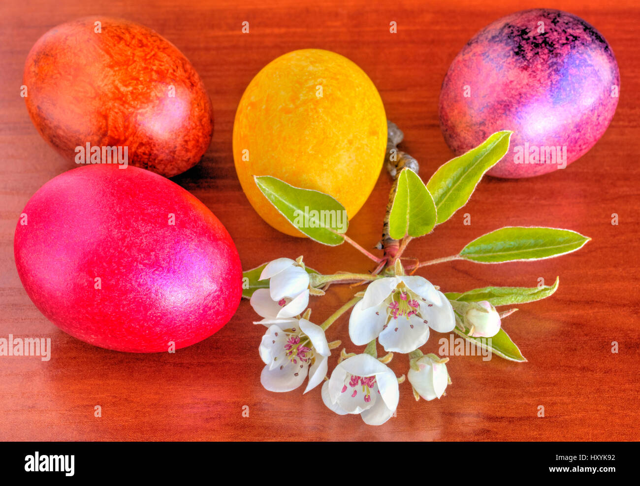 Colorful painted Easter eggs and fresh Spring flowers closeup Stock ...