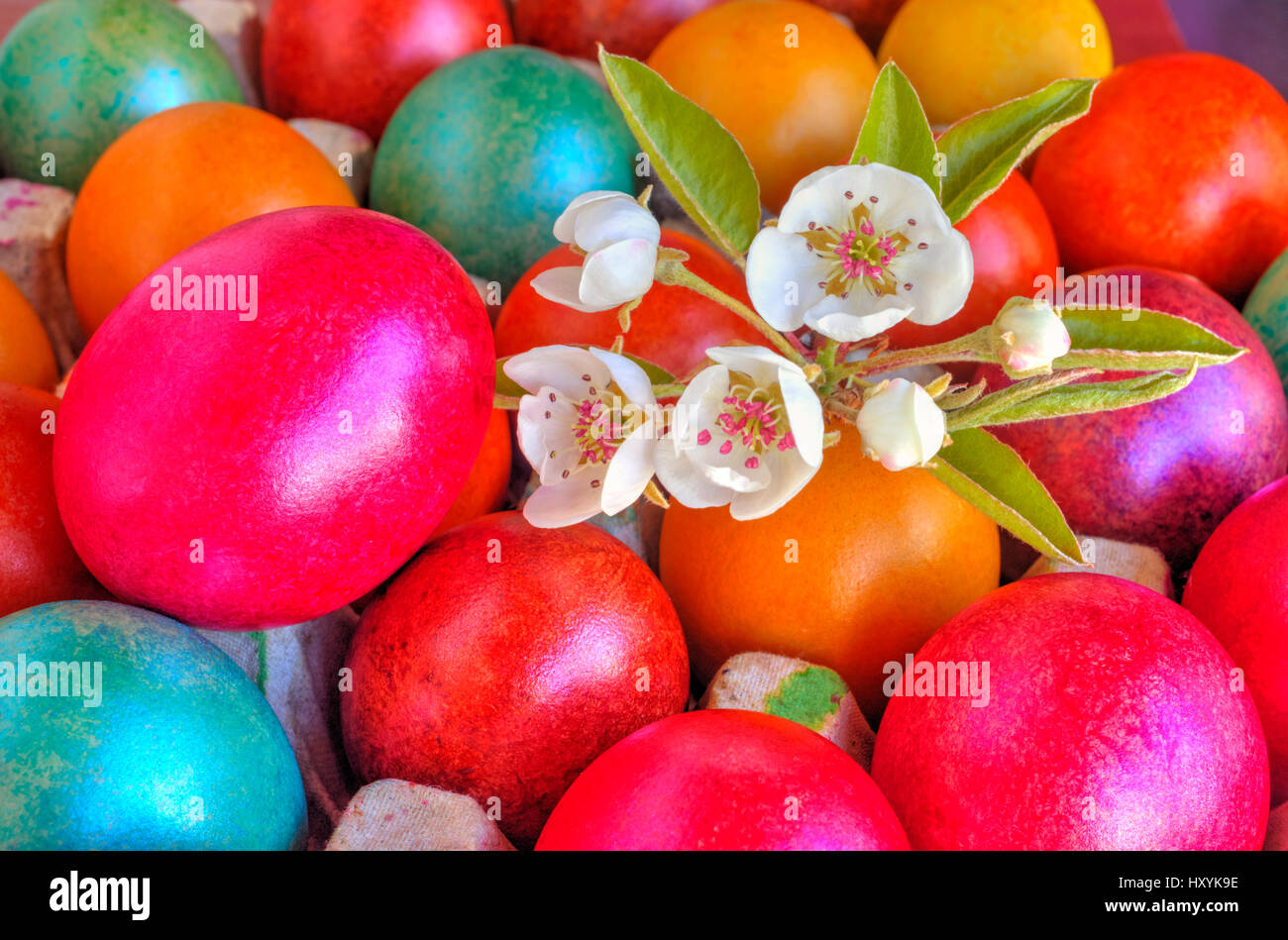 Colorful painted Easter eggs and fresh Spring flowers closeup Stock ...