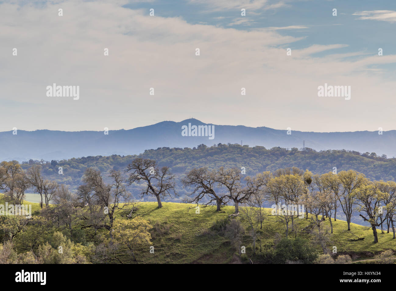 Hazy Oak Woodlands and Hilltops above Santa Clara Valley. Stock Photo