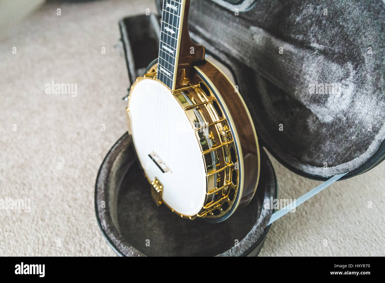 High-value banjo in custom hard case. Banjo has mahogany body and gold accents. Stock Photo