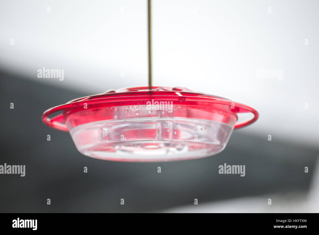 Plastic bird feeder hires stock photography and images Alamy