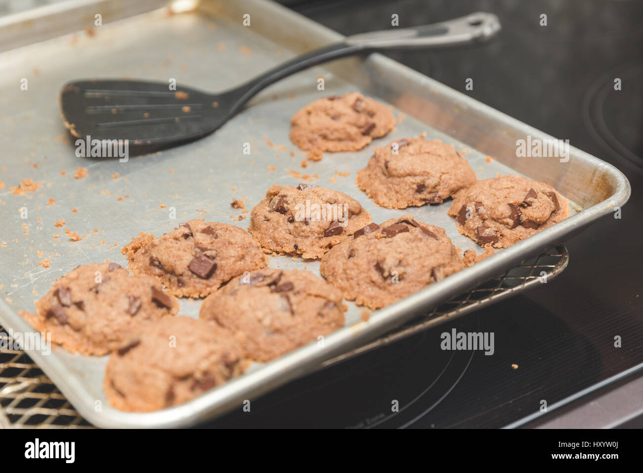 Fresh baked cookies in cookie pan with spatula nearby. This particular recipe used gluten-free ingredients. Stock Photo